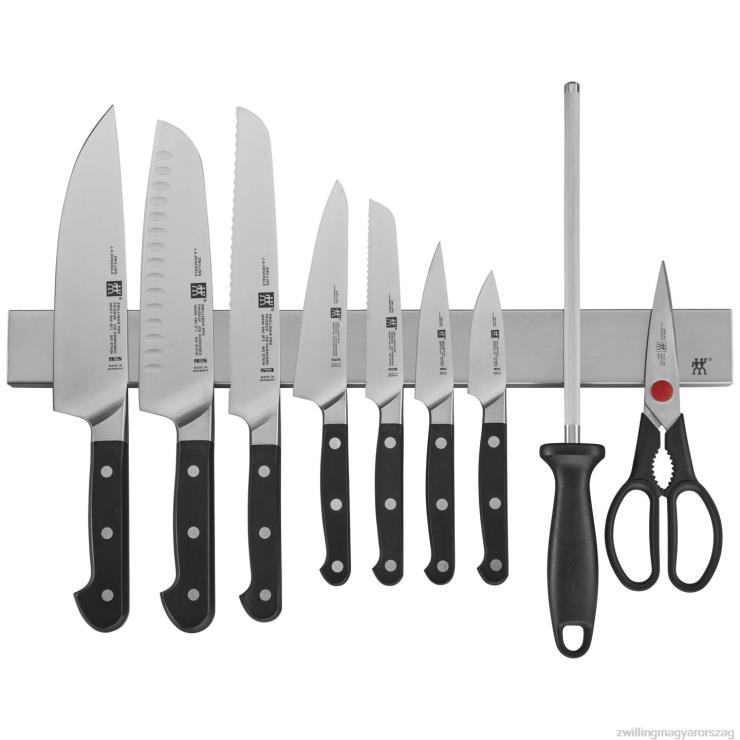 Zwilling Budapest - Zwilling pro 10 db 175-os rozsdamentes mágneses késtartóval 6022B396